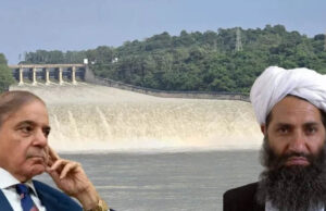 सिंधु का पानी भारत ने रोका, पाकिस्तान को प्यासा छोड़ने पर मजबूर किया