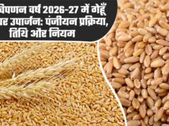 मध्यम एवं बड़े कृषकों को गेहूं विक्रय करने के लिये स्लॉट बुकिंग की सुविधा प्रारंभ