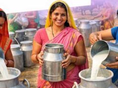 6 जिलों में 55 हजार से ज्यादा महिलाएं बनीं सफल उद्यमी, आत्मनिर्भरता की मिसाल