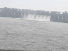 शहडोल में बाणसागर बांध के 8 गेट खुले, जलस्तर खतरे के निशान तक पहुंचा