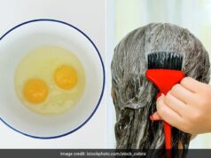 महंगे केराटिन-प्रोटीन ट्रीटमेंट छोड़िए! अंडे से बनाएं 5 होममेड हेयर मास्क, बाल होंगे मुलायम