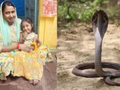 सांप के डसने से 4 साल की बच्ची की मौत, परिजनों ने अस्पताल पर लगाए गंभीर आरोप