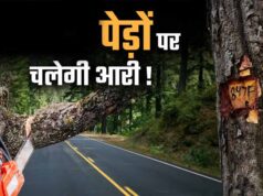 भोपाल मास्टर प्लान 2047 पर पर्यावरण की चिंता, 791 किमी सड़क नेटवर्क के लिए 2.89 लाख पेड़ों पर खतरा
