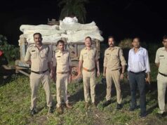 अवैध मादक पदार्थों के विरुद्ध मध्यप्रदेश पुलिस की प्रभावी कार्रवाई जारी