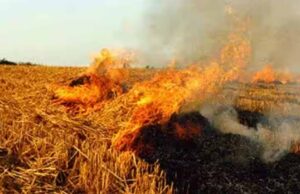 मोहन सरकार की नई स्कीम, एक एकड़ खेत वाले किसान को मिलेंगे 3 हजार रुपए