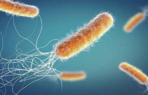 एंटीबायोटिक्स का ज्यादा सेवन हो रहा जानलेवा! बढ़ रहे लाइलाज ‘सुपरबग’ के मामले