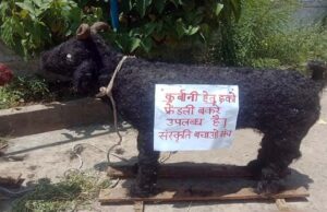 प्रदेश में हिंदू संगठन ने तैयार करवाए खास तरह के बकरे, मुस्लिमों से की ईको-फ्रेंडली बकरा ईद मनाने अपील