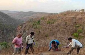 शाहपुर रेंज में वन अमले को एक बाघिन का शव मिलने से हड़कंप