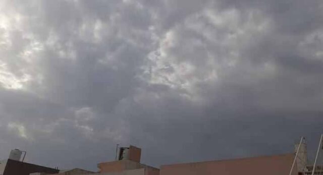 mosam-8.jpg