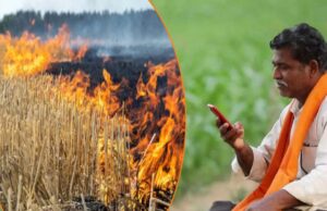 एमपी में नरवाई जलाने वाले 7000 किसानों की किसान सम्मान निधि पर लगेगी रोक? जानें क्यों होगा ऐसा