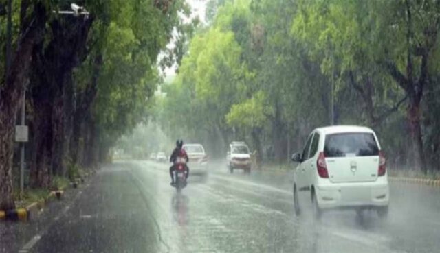 barish8-10.jpg
