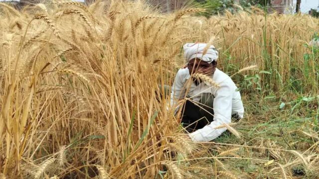 kisan.jpg