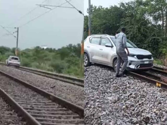 patri-1.jpg