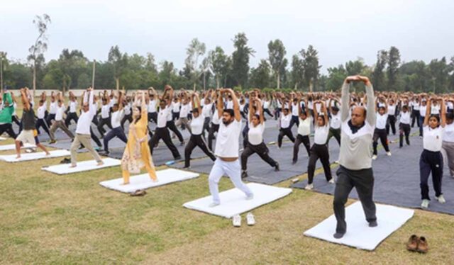 yog-4.jpg