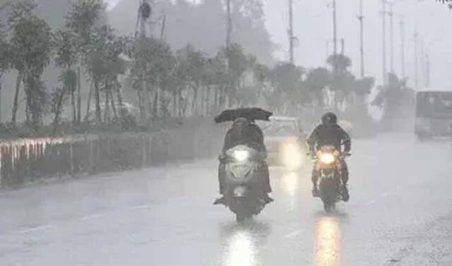 barish-26.jpg