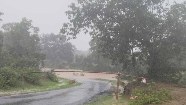barish-6.jpg