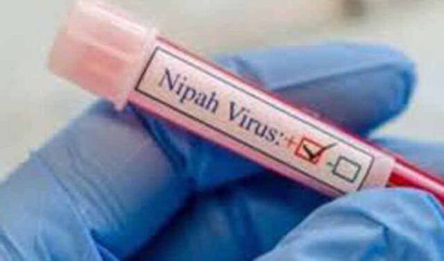 nipah.jpg