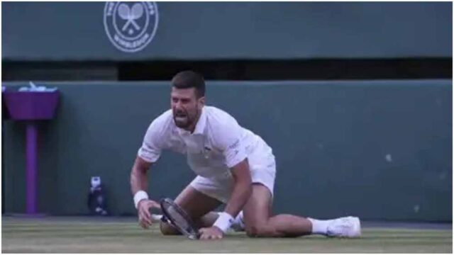 novak.jpg