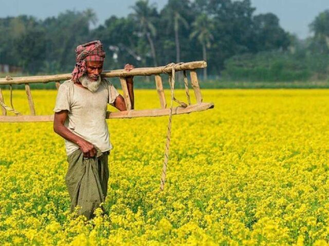 pm_kisan-2.jpg