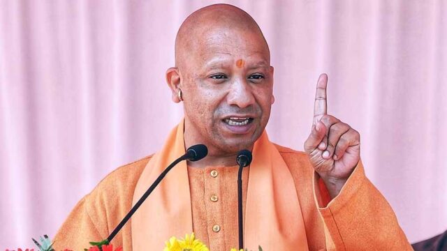 yogi-1.jpg