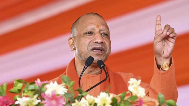 yogi.jpg