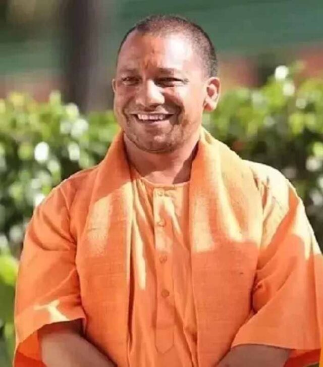 yogi3.jpg