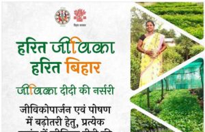 राज्य की हरियाली संवारने में अहम भूमिका निभा रही हैं जीविका दीदियां