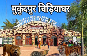 मुकुंदपुर टाइगर रिजर्व को रीवा में शामिल करने पर MP में सियासी हलचल