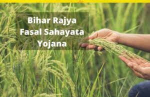 बिहार राज्य फसल सहायता योजना: 31 अक्टूबर तक करें आवेदन