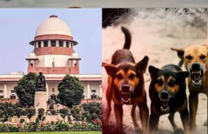 शेल्टर होम में सिर्फ आक्रामक कुत्ते रखे जाएंगे, बाकी को छोड़ा जाएगा: सुप्रीम कोर्ट