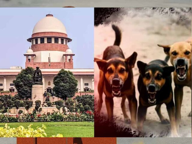 22A_36.jpg
