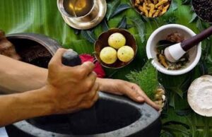आदिवासी परंपरागत औषधि ‘चिपकू’ पौधा टीबी और मूत्र रोगों में कारगर