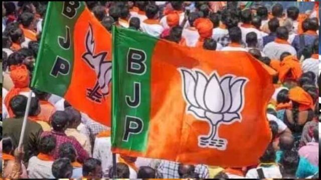 bjp-2-1.jpg
