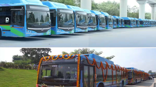 bus_81_3.jpg