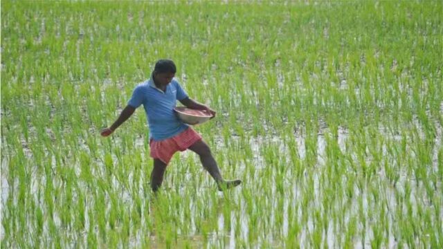 kisan-4.jpg