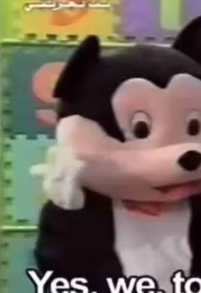 riport1.jpg