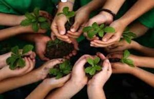 अमृत हरित महाअभियान: नगरीय क्षेत्रों में रोपे गये 23 लाख पौधे