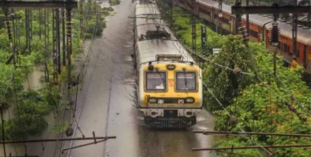 tren3.jpg