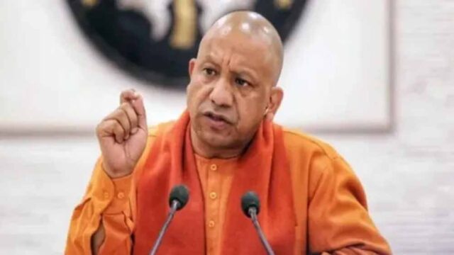 yogi-2.jpg
