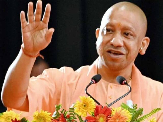 yogi-20.jpg