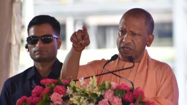yogi-4.jpg