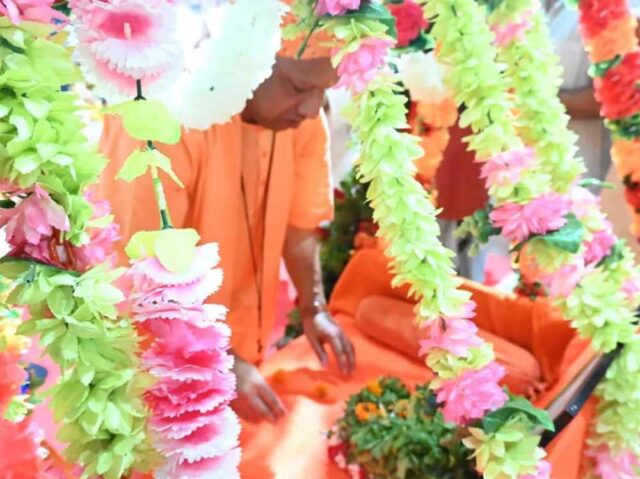 yogi3-3.jpg