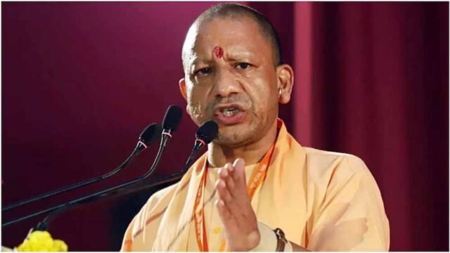 yogi4-8.jpg
