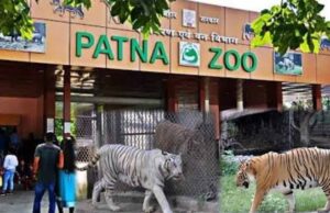 Patna Zoo को बनाएं और भी आकर्षक, विभाग आम नागरिकों से मांग रहा सुझाव