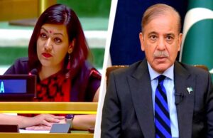 टूटा एयरबेस और जले हैंगर पर शहबाज की जीत? भारत ने UN में पाक को जमकर खरी-खोटी सुनाई