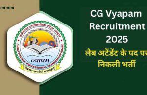 छत्तीसगढ़ व्यावसायिक परीक्षा मंडल ने निकाली भर्ती, वार्ड बॉय और आया के 100 पद खाली