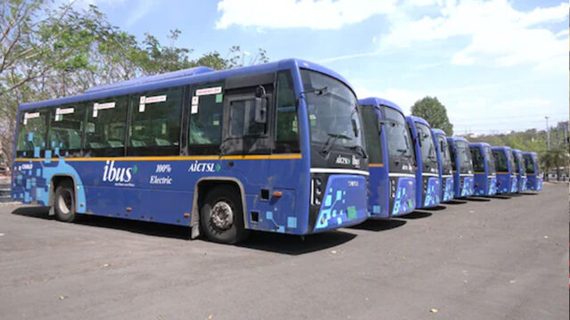 bus_81_2-1.jpg