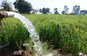 रबी सीजन में निर्बाध एवं गुणवत्तापूर्ण विद्युत आपूर्ति की व्यवस्था
