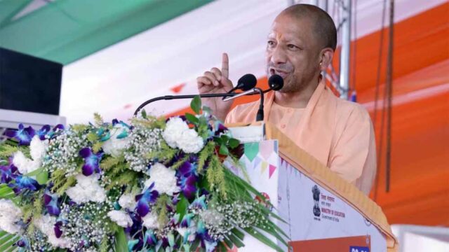 yogi-19.jpg