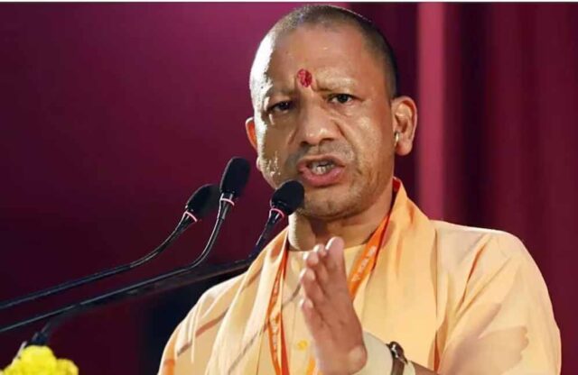 yogi_60_2-4.jpg